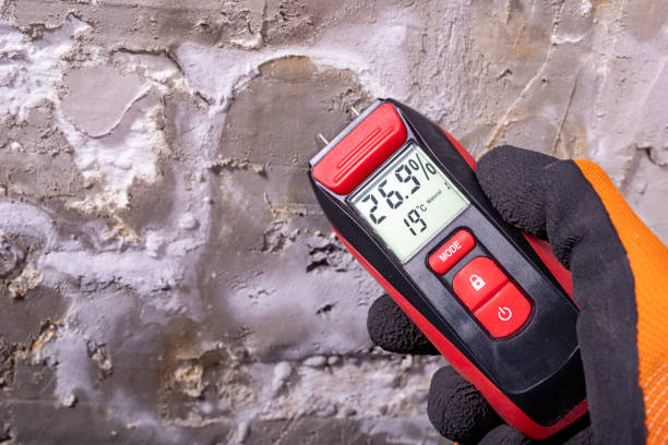 Mold Removal Process in Adamsville, AL